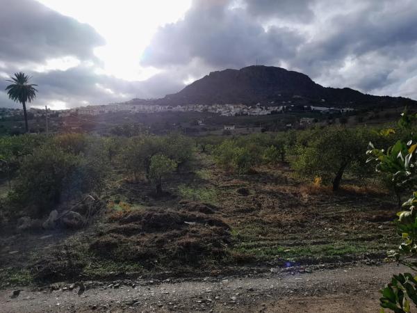 Terreno en Bellavista s/n