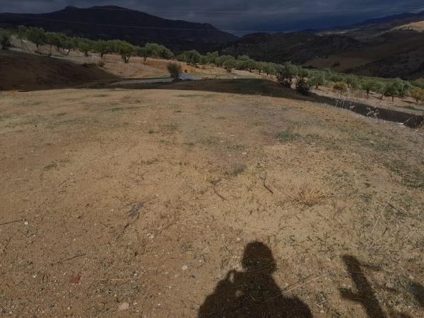 Terreno en Estacion Las Mellizas s/n