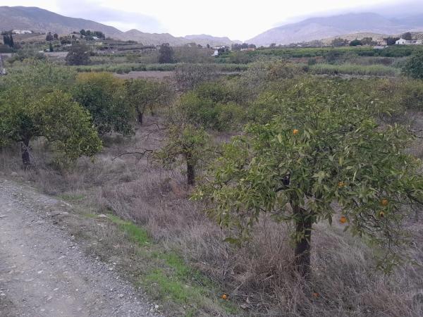 Terreno en Casablanquilla s/n