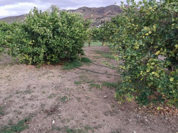 Terreno en Bellavista s/n