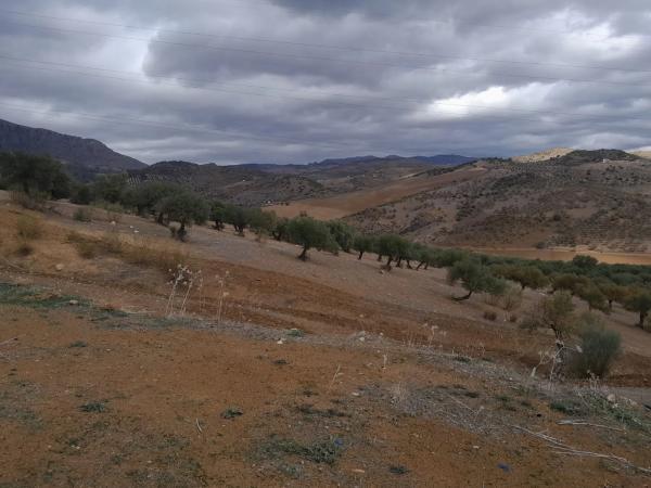 Terreno en Estacion Las Mellizas s/n