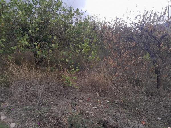 Terreno en Casablanquilla s/n