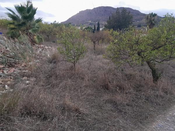 Terreno en Casablanquilla s/n