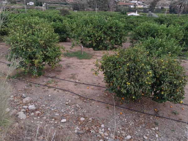 Terreno en Bellavista s/n