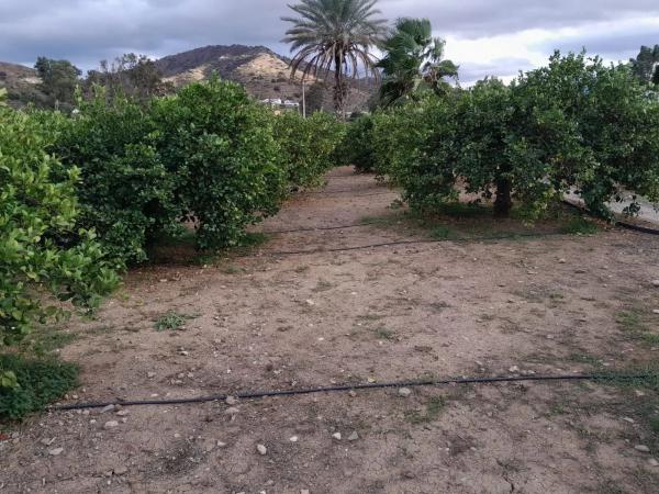 Terreno en Bellavista s/n