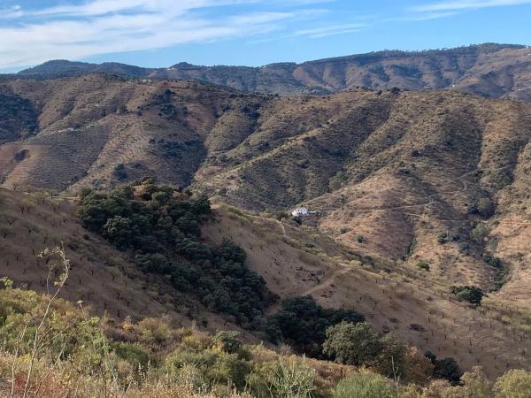 Terreno en Barrio Pinares de San Antón