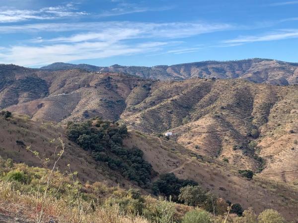 Terreno en Barrio Pinares de San Antón