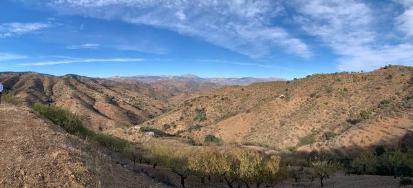Terreno en Barrio Pinares de San Antón