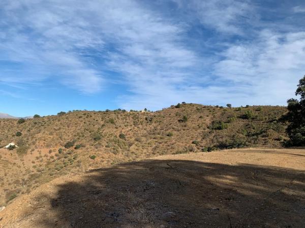 Terreno en Barrio Pinares de San Antón