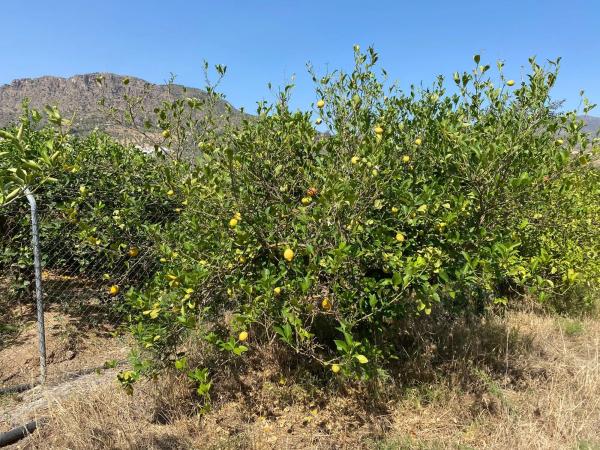 Terreno en Diseminado Poligono 30, 12