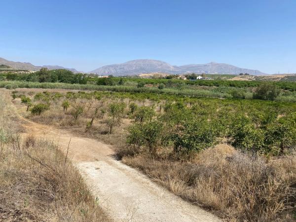 Terreno en Diseminado Poligono 30, 12
