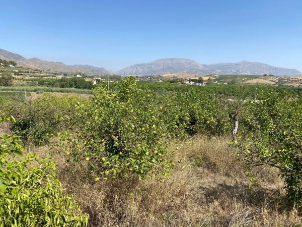 Terreno en Diseminado Poligono 30, 12