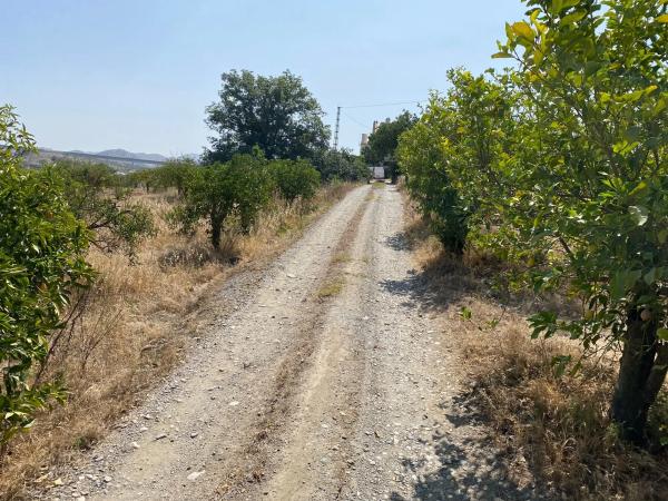 Terreno en Diseminado Poligono 30, 12