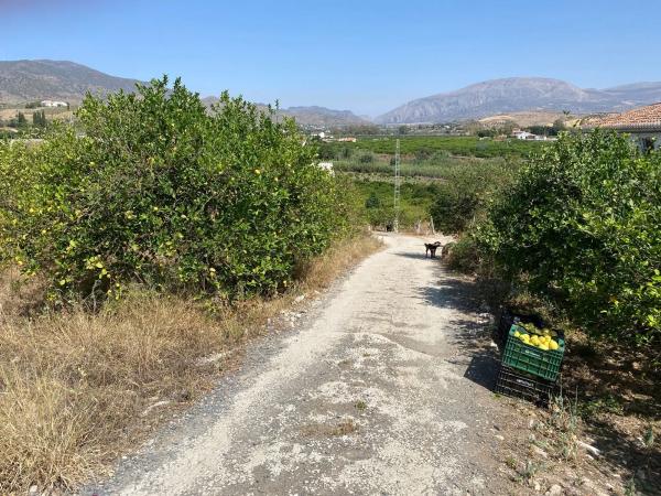 Terreno en Diseminado Poligono 30, 12