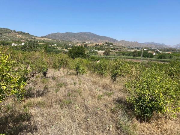 Terreno en Diseminado Poligono 30, 12