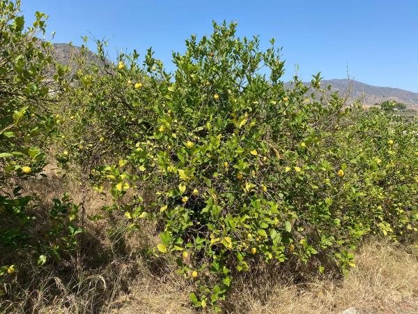 Terreno en Diseminado Poligono 30, 12
