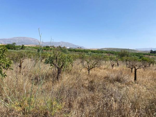 Terreno en Diseminado Poligono 30, 12