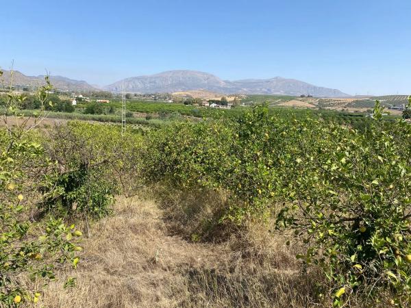 Terreno en Diseminado Poligono 30, 12