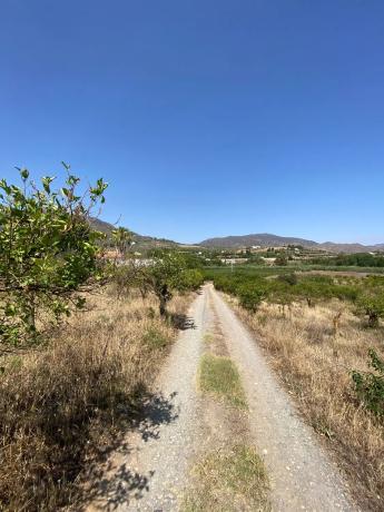 Terreno en Diseminado Poligono 30, 12