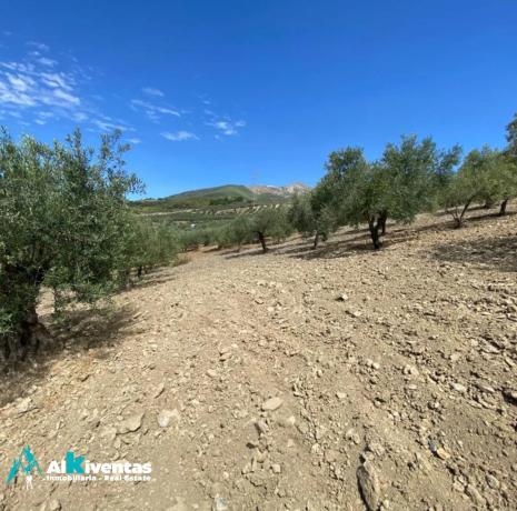 Terreno en Casarabonela