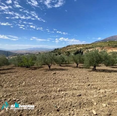 Terreno en Casarabonela