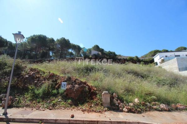 Terreno en camino de Ardalejos