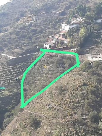 Terreno en calle de la Liebre