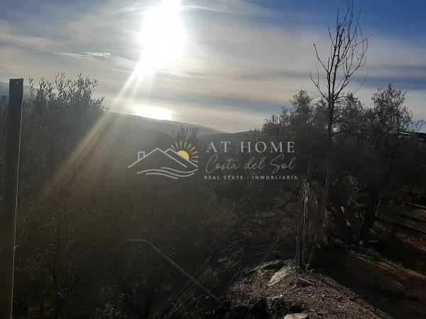 Terreno en calle de la Liebre