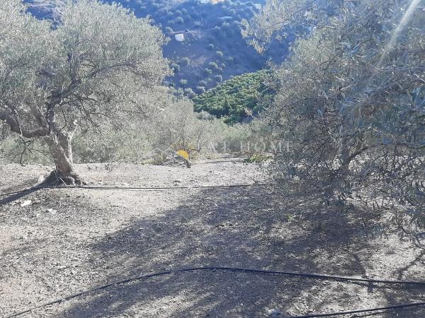 Terreno en calle de la Liebre