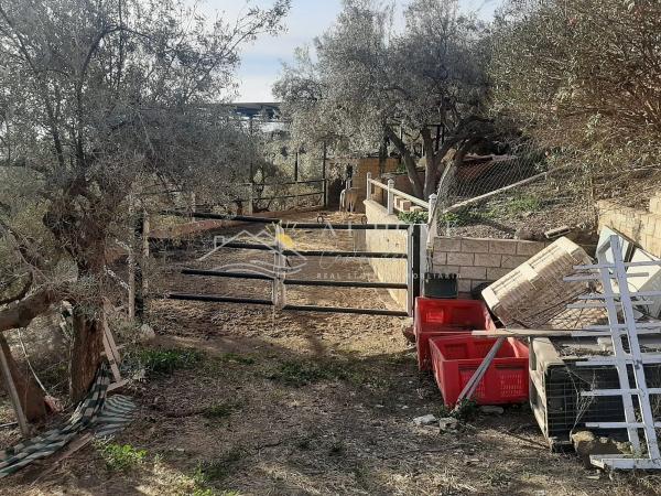 Terreno en calle de la Liebre