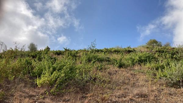 Terreno en Ma-3119 s/n