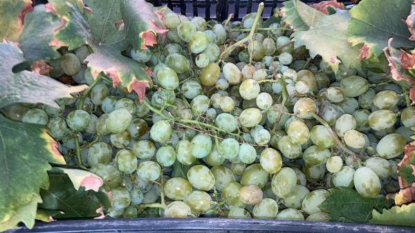 Terreno en Ma-3119 s/n