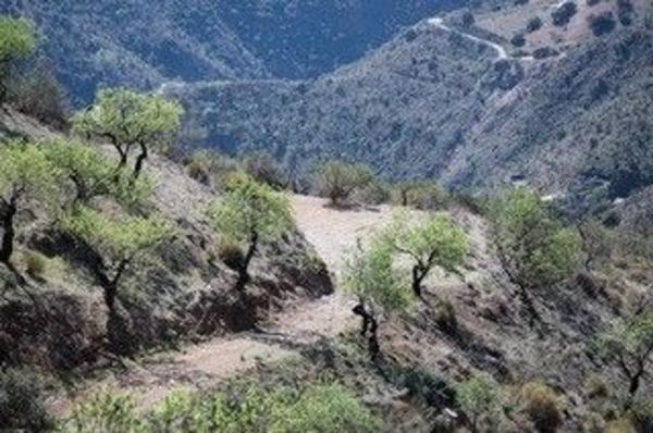 Terreno en carretera Buenaventura s/n
