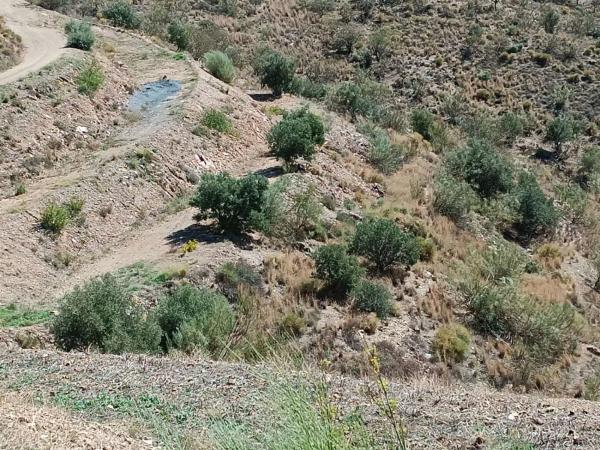 Terreno en Moclinejo