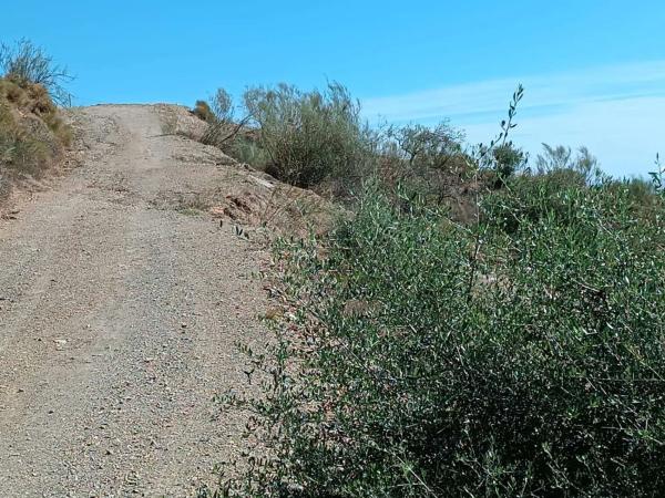 Terreno en Moclinejo