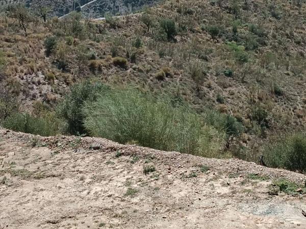 Terreno en Moclinejo