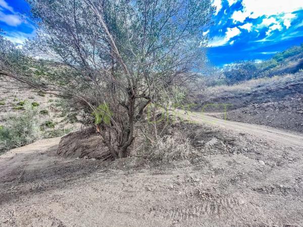 Terreno en calle Frigiliana