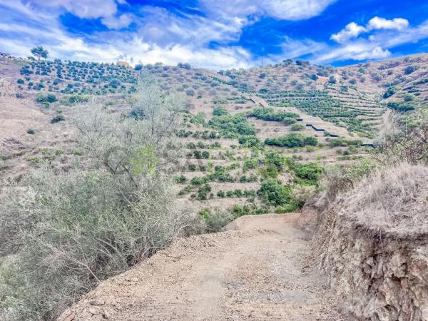 Terreno en calle Frigiliana