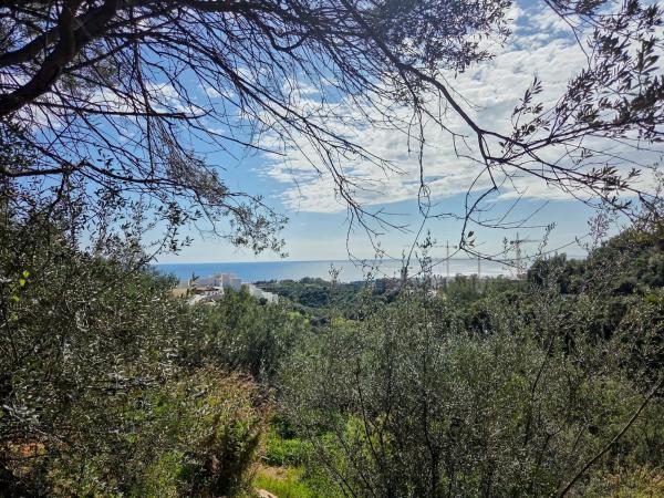 Terreno en carretera de Lomas de Marbella