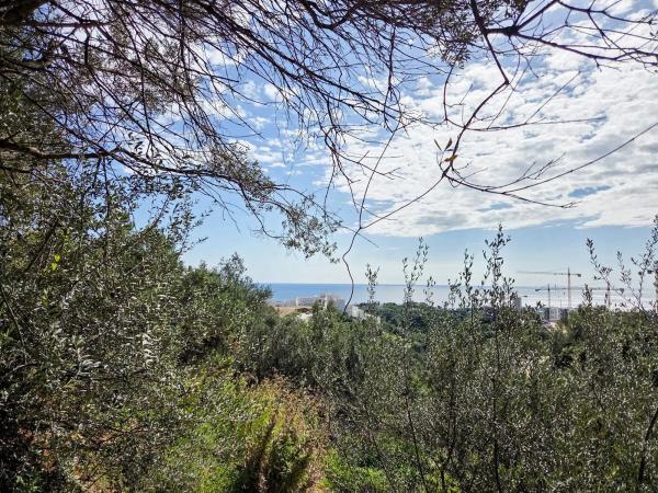Terreno en carretera de Lomas de Marbella