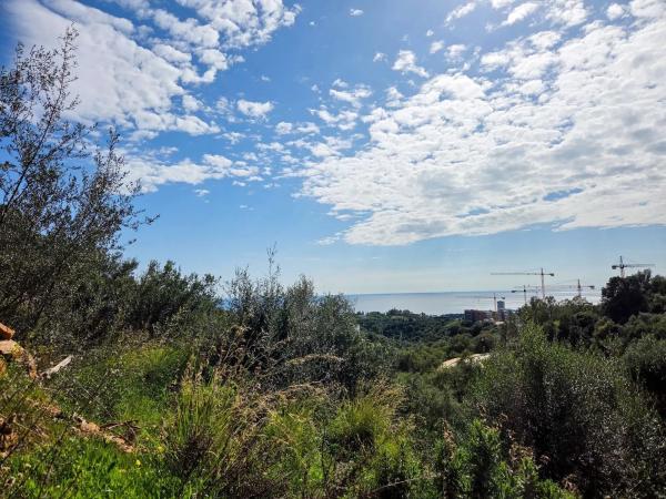 Terreno en carretera de Lomas de Marbella