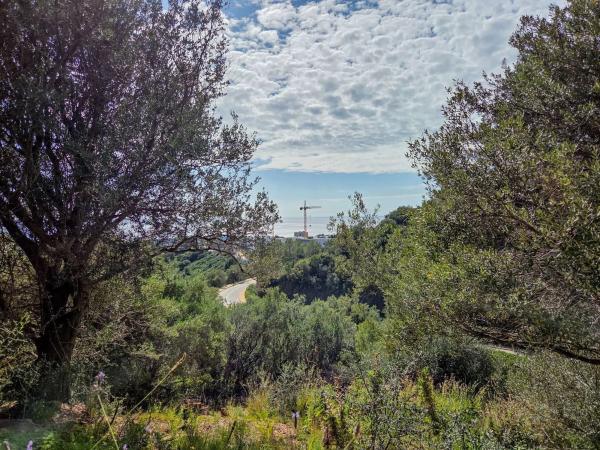 Terreno en carretera de Lomas de Marbella