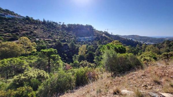 Terreno en El Madroñal