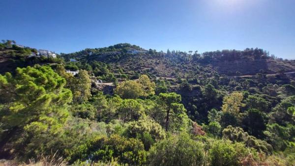Terreno en El Madroñal