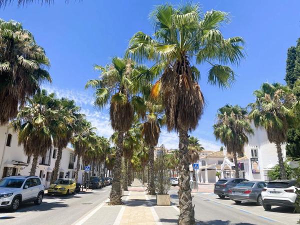 Terreno en calle Cártama