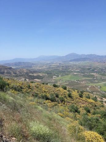 Terreno en Arroyo Causino, km 3