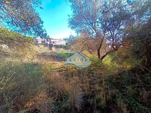 Terreno en calle Telera