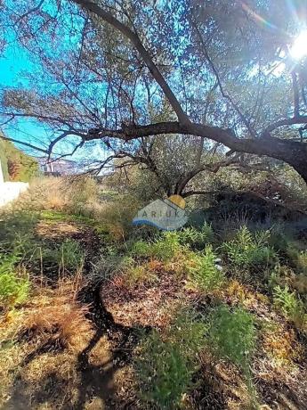 Terreno en calle Telera