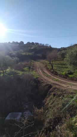 Terreno en La Morra s/n