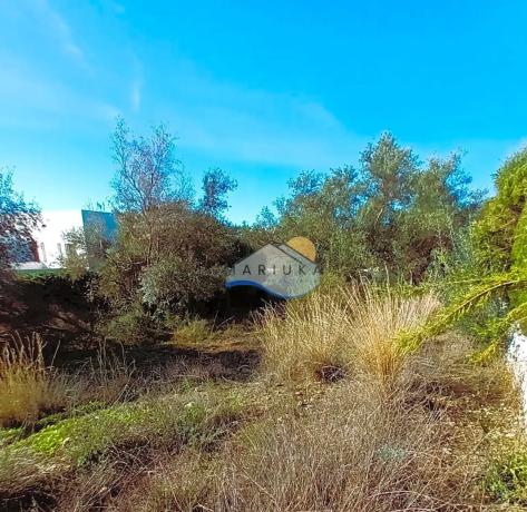 Terreno en calle Telera